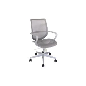 EVOLUTION GRIS
