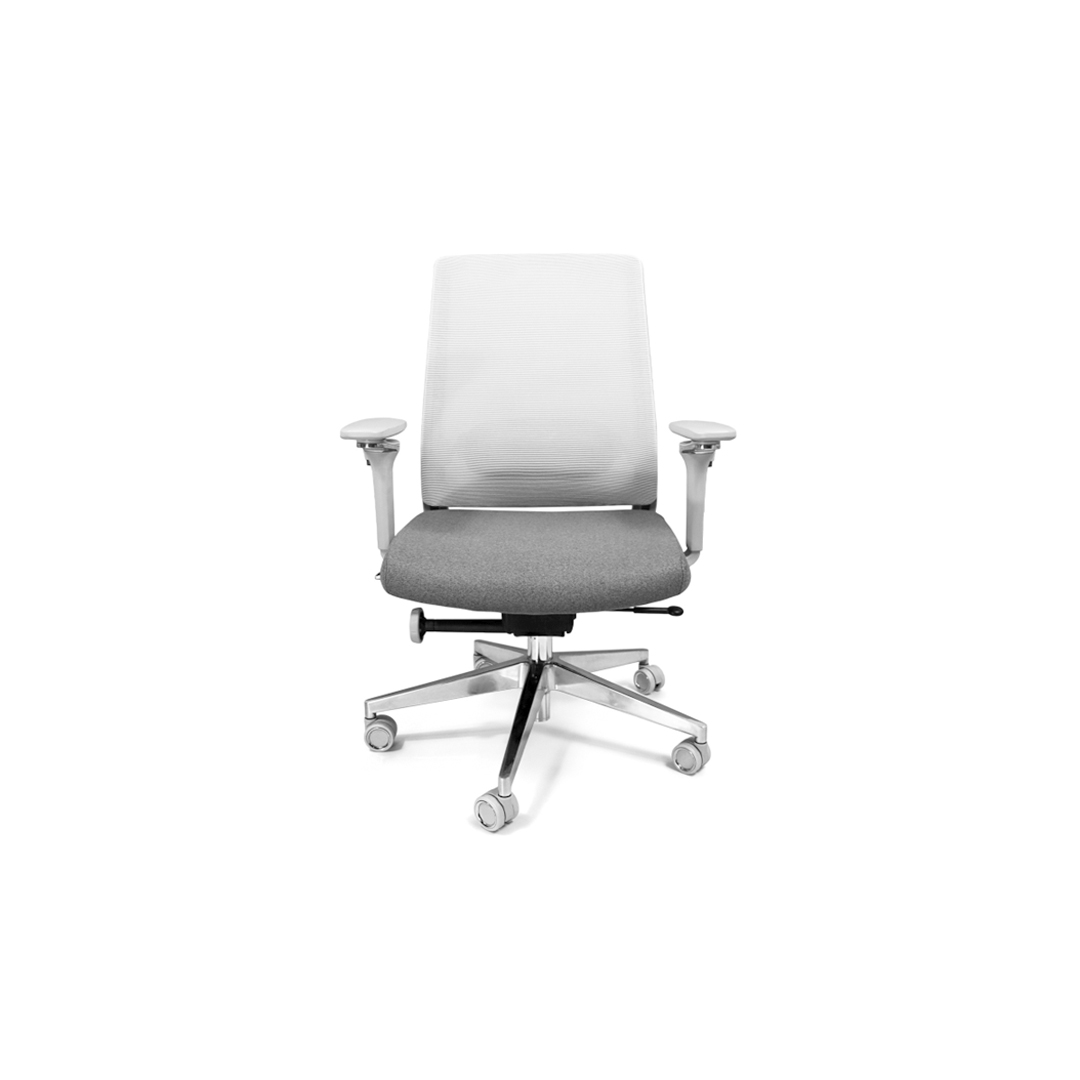 Alfa Ejecutivo Gris